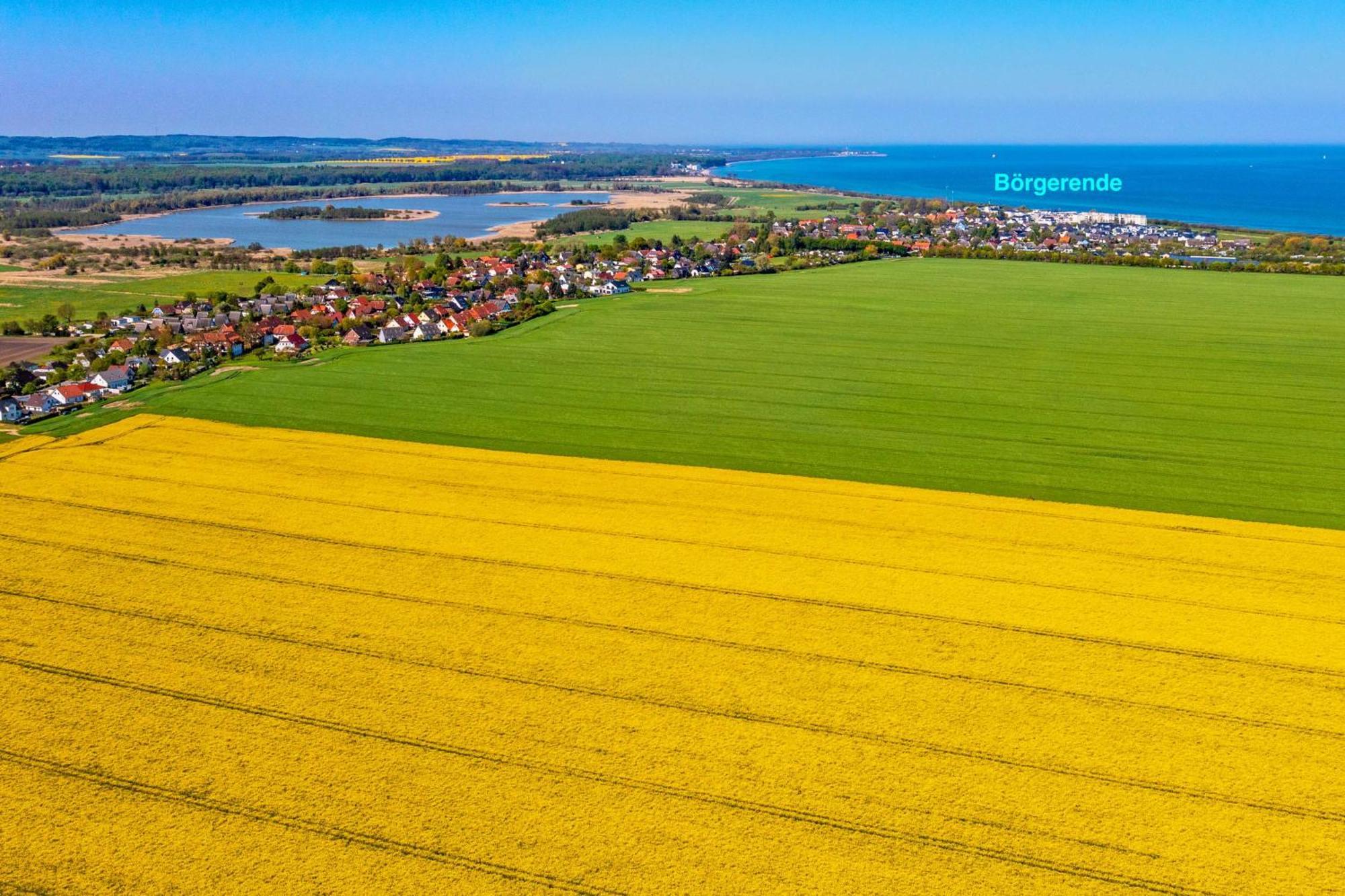 Villa Deichgraf 12 "Meerblick" Boergerende-Rethwisch Luaran gambar